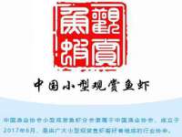 杭州筑言网络科技有限公司