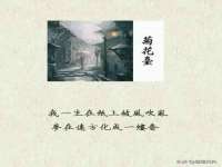杭州筑言网络科技有限公司