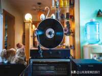 杭州筑言网络科技有限公司