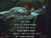 杭州筑言网络科技有限公司