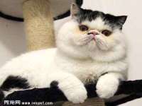 杭州筑言网络科技有限公司
