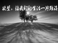 杭州筑言网络科技有限公司
