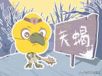 杭州筑言网络科技有限公司