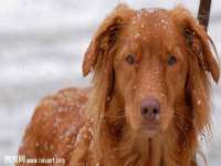 杭州筑言网络科技有限公司