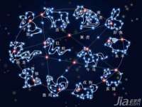 杭州筑言网络科技有限公司