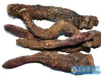 杭州筑言网络科技有限公司