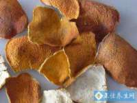 杭州筑言网络科技有限公司