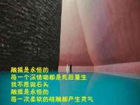 杭州筑言网络科技有限公司