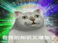 杭州筑言网络科技有限公司