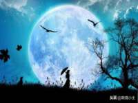 杭州筑言网络科技有限公司