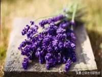 杭州筑言网络科技有限公司