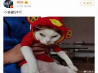 杭州筑言网络科技有限公司