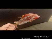 杭州筑言网络科技有限公司